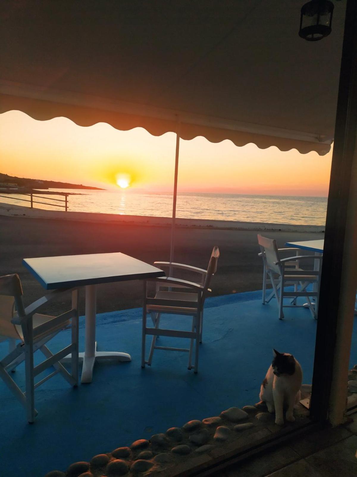 Meltemi Beach Apartments Milatos Luaran gambar